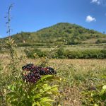 Bosnische Piramide van de Zon in Visoko