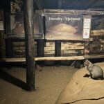 Ravne-tunnels in Visoko