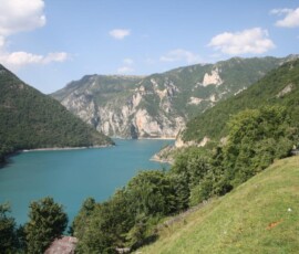 Drina